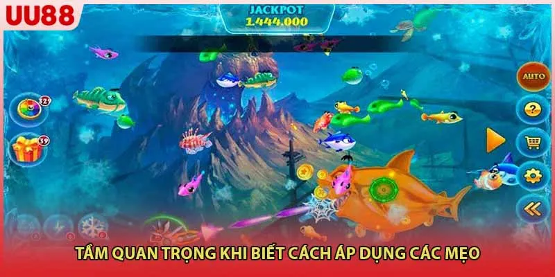Tầm quan trọng khi biết cách áp dụng các mẹo