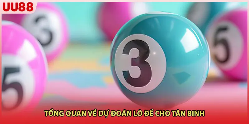 Tổng quan về dự đoán lô đề cho tân binh 